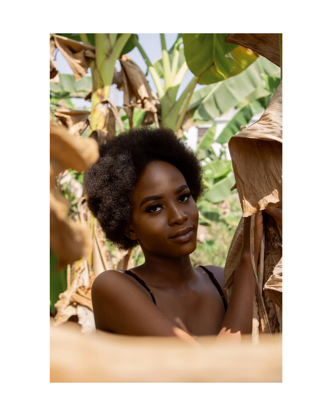 Mango Passion Body Butter